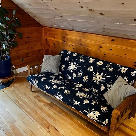 Bright And Cozy Treehouse Apartment Burlington Kültér fotó