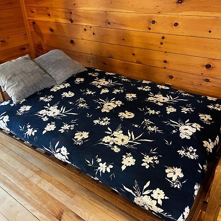 Bright And Cozy Treehouse Apartment Burlington Kültér fotó